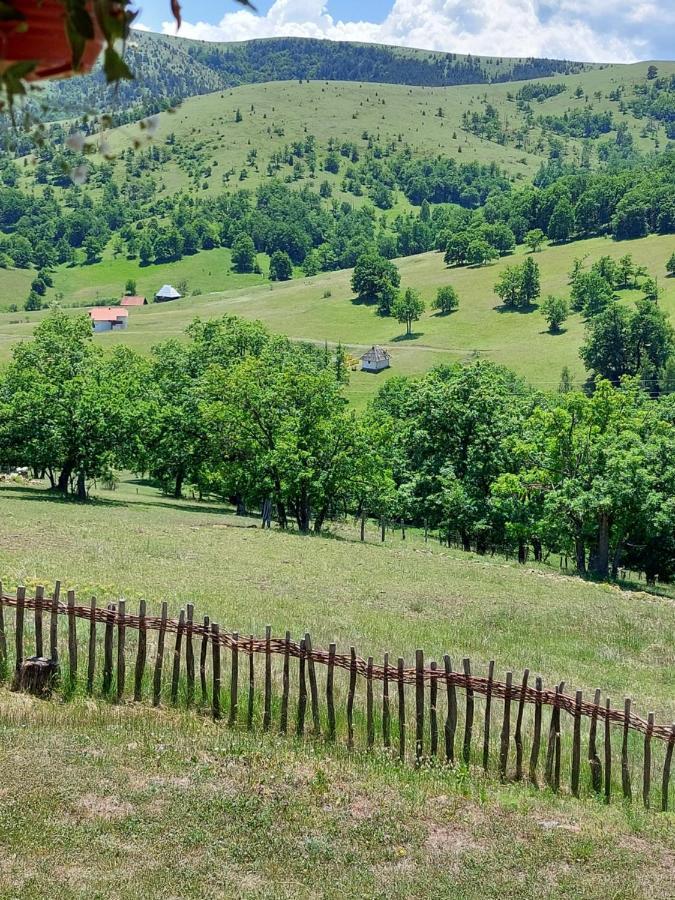 Iva * Zlatibor